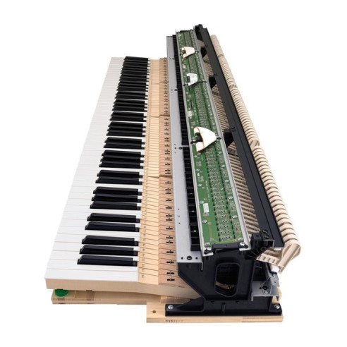 Compra Celviano Grand Hybrid GP-310BK online | MusicSales