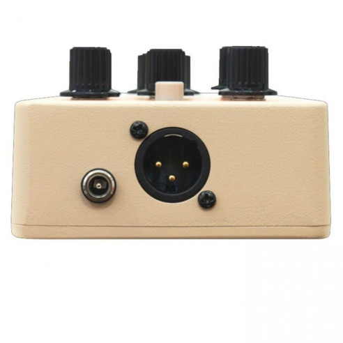 Compra Acoustic Pedal online | MusicSales