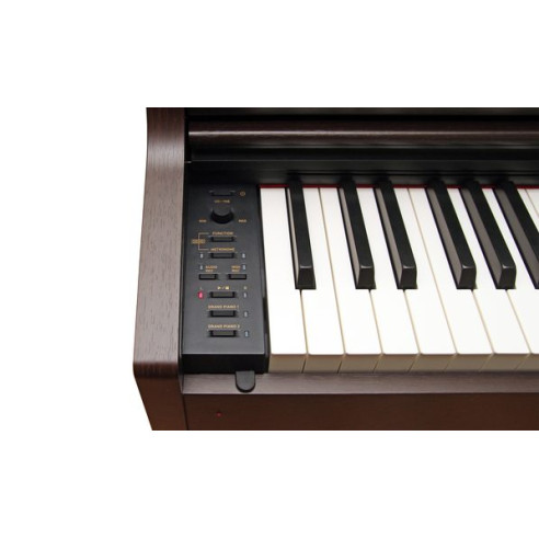 Compra Celviano AP-470 BN Palisandro online | MusicSales