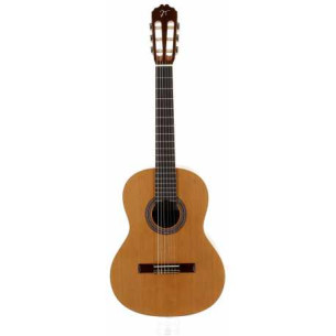 José Torres PACK JTC-3 Guitarra Clásica Cadete con accesorios 2