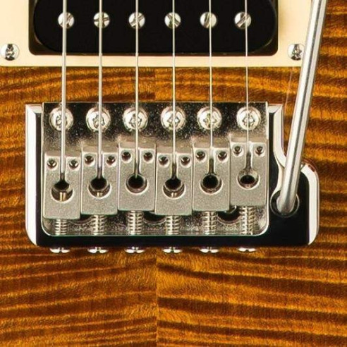 SE CUSTOM 24 CHARCOAL Guitarra Eléctrica 