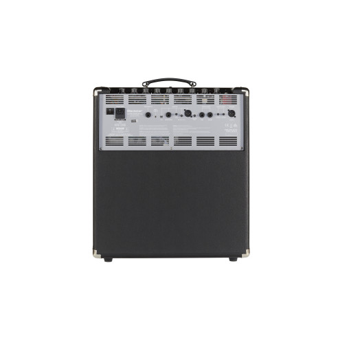 UNITY 250 Amplificador para bajo