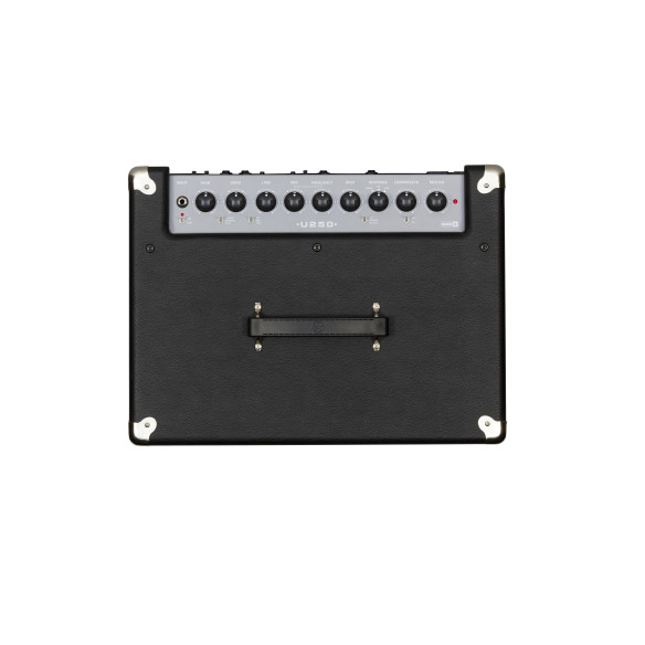 UNITY 250 Amplificador para bajo UNITY 250 Amplificador para bajo