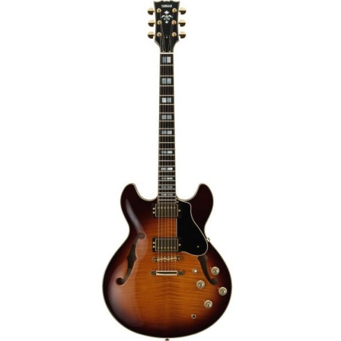 SA2200 BS Guitarra Eléctrica Semi-Hollow Body