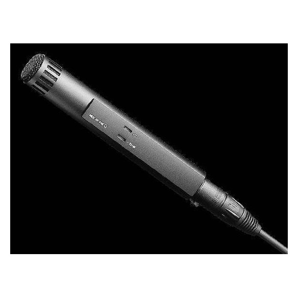 Compra MKH 50-P48 online | MusicSales