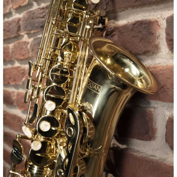 Compra OAS-615 Saxo Alto online | MusicSales