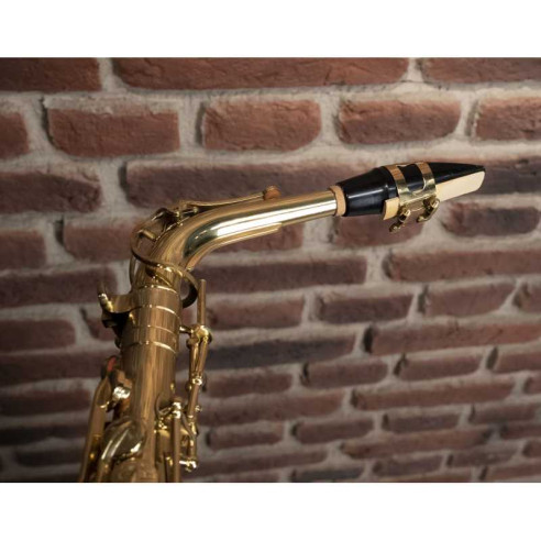 Compra OAS-615 Saxo Alto online | MusicSales