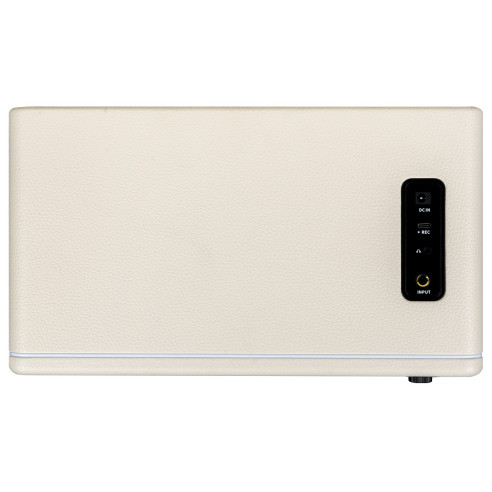 MOOER HORNET 30i WHITE Amplificador de Modelado Digital Guitarra