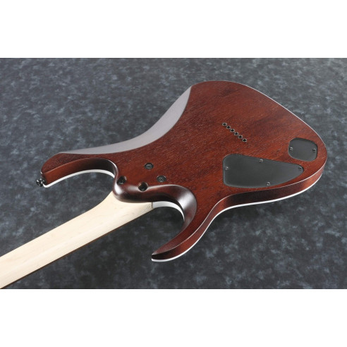 Ibanez RGA42FM-DEF Guitarra Eléctrica