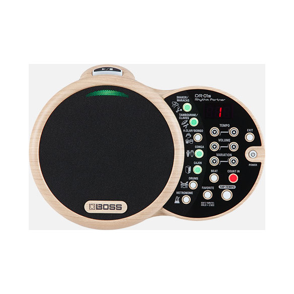 Boss caja de ritmos DR-01S con ritmos orgánicos para músicos acústicos
