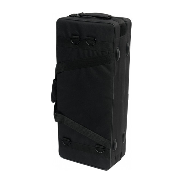 Saxo Alto de estudio SML PARIS A300 , dorado, con estuche.