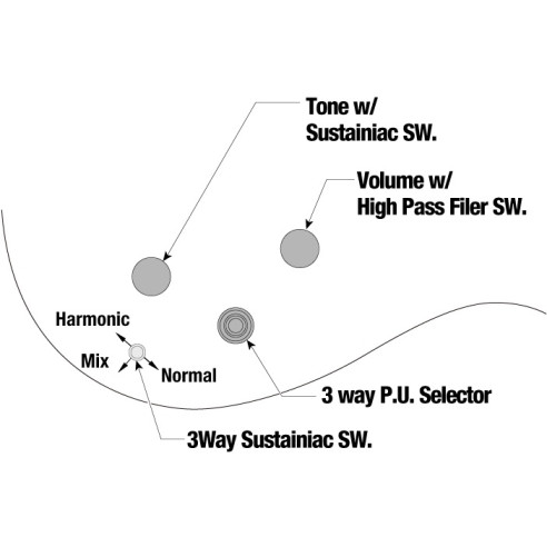 Ibanez JS1GD Guitarra Eléctrica Signature Joe Satriani