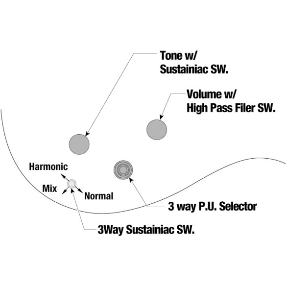 Ibanez JS1GD Guitarra Eléctrica Signature Joe Satriani Ibanez JS1GD Guitarra Eléctrica Signature Joe Satriani