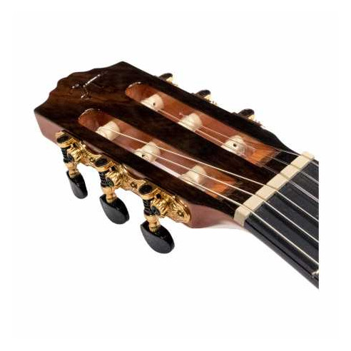 José Torres JTC-75 SP Guitarra Clásica