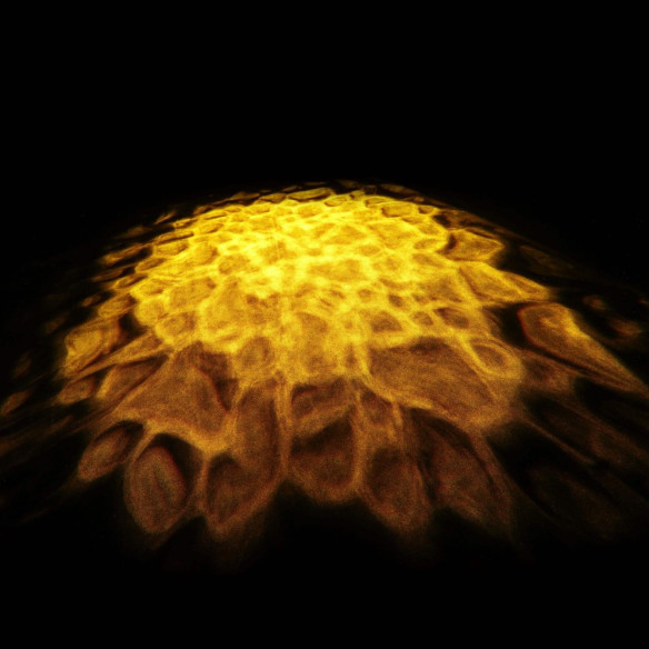 Compra Scuba online | MusicSales