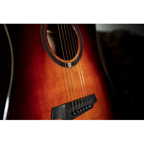 Compra QGA-100CE SBG Sunburst online | MusicSales
