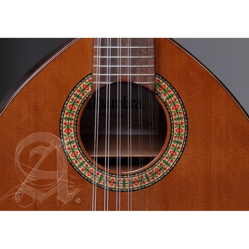 Alhambra B-3C Bandurria con funda