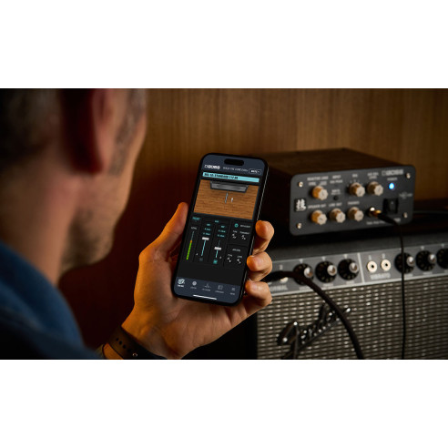 Boss WAZA Tube Amp Expander Core