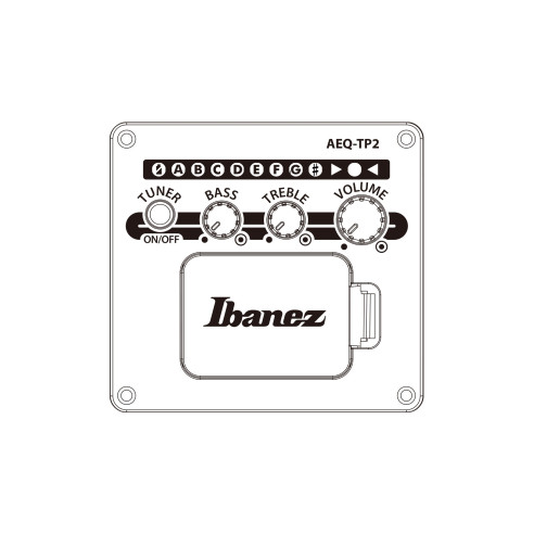 Ibanez AAM140E-MHS Guitarra Electroacústica