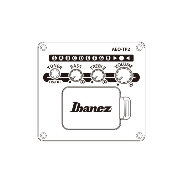 Ibanez AAM100E-BK Guitarra Electroacústica