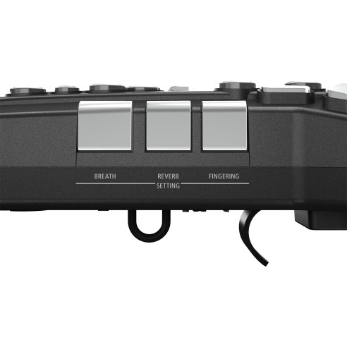 Compra Aerophone GO AE-05 online | MusicSales