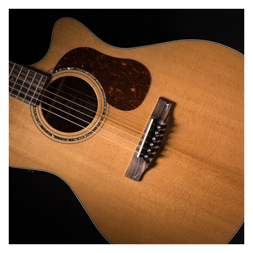 Compra Gold-A6 online | MusicSales