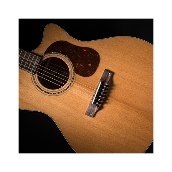 Compra Gold-A6 online | MusicSales