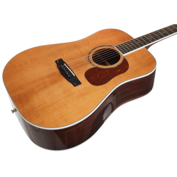 Compra GOLD-D8 NAT online | MusicSales