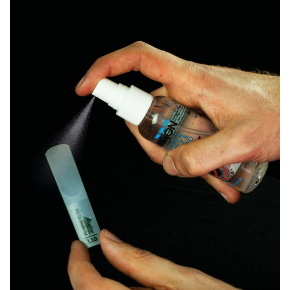 Champion CHD1M Desinfectante Boquillas