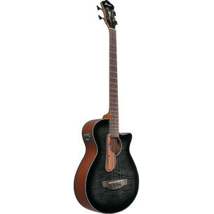 Ibanez AEGB25E-TKH Bajo acústico 2