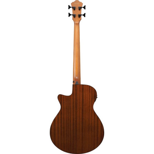 Ibanez AEGB25E-TKH Bajo acústico
