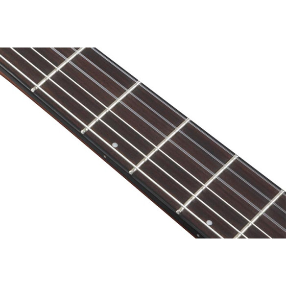 Ibanez AEGB25E-TKH Bajo acústico Ibanez AEGB25E-TKH Bajo acústico