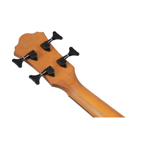Ibanez AEGB25E-TKH Bajo acústico