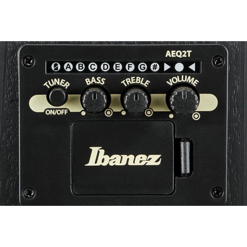 Ibanez AEGB25E-TKH Bajo acústico