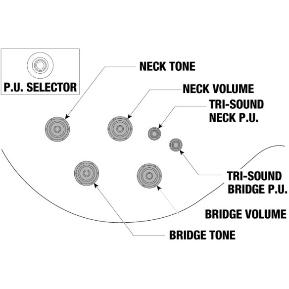 Ibanez AR420-TBG Guitarra eléctrica