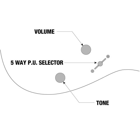 Ibanez GRG121DX-MGS Guitarra eléctrica