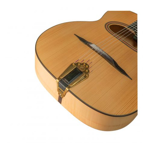 José Torres JTG-11-D Guitarra Gypsy natural mate