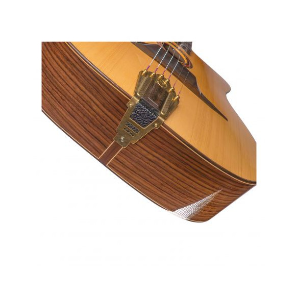 José Torres JTG-11-0 Guitarra Gypsy natural brillo