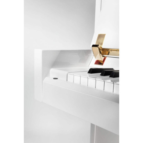 Compra P118 S1 PWH online | MusicSales