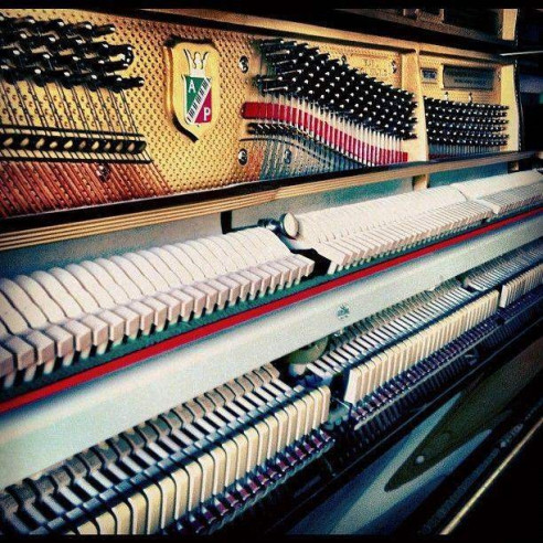 Compra P118 P1 PE online | MusicSales
