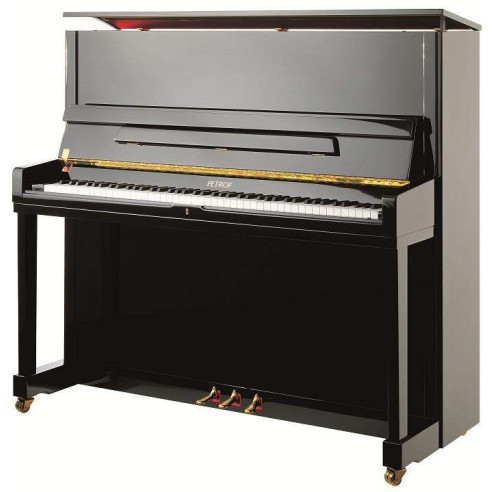 Compra P131 M1 online | MusicSales