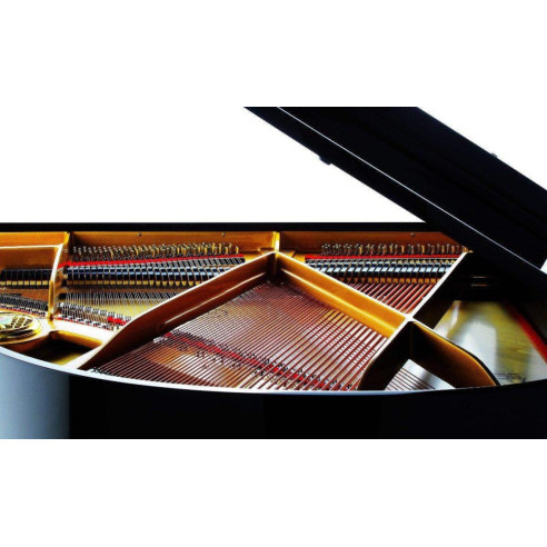 Compra P159 Bora online | MusicSales