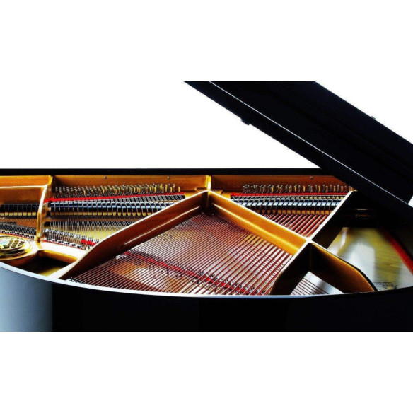 Compra P159 Bora online | MusicSales