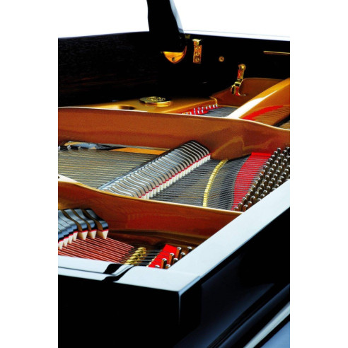 Compra P159 Bora online | MusicSales