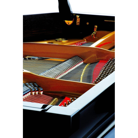 Compra P159 Bora online | MusicSales