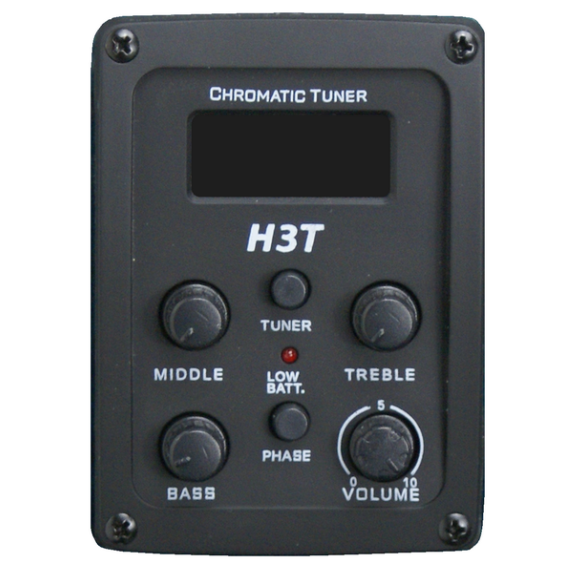 GADSTSB Guitarra Acústica Mini Jumbo Sombreada