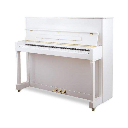 Compra P122 N2 online | MusicSales