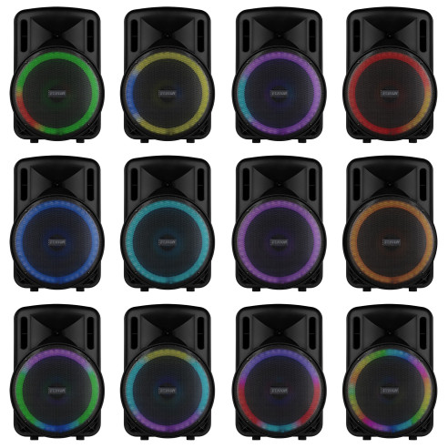 Fenton FT15LED MK2 Altavoz portátil con batería, 15" 800W, Bluetooth y Micrófono UHF