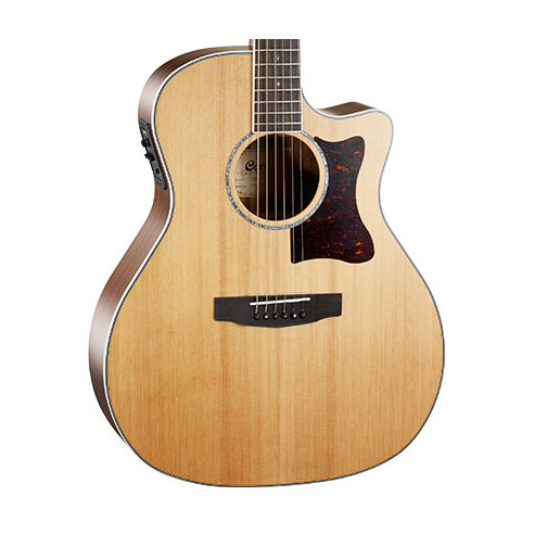 Compra GA5F BW NS online | MusicSales