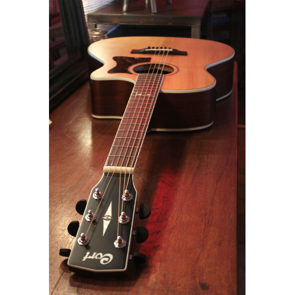 Compra GA5F BW NS online | MusicSales